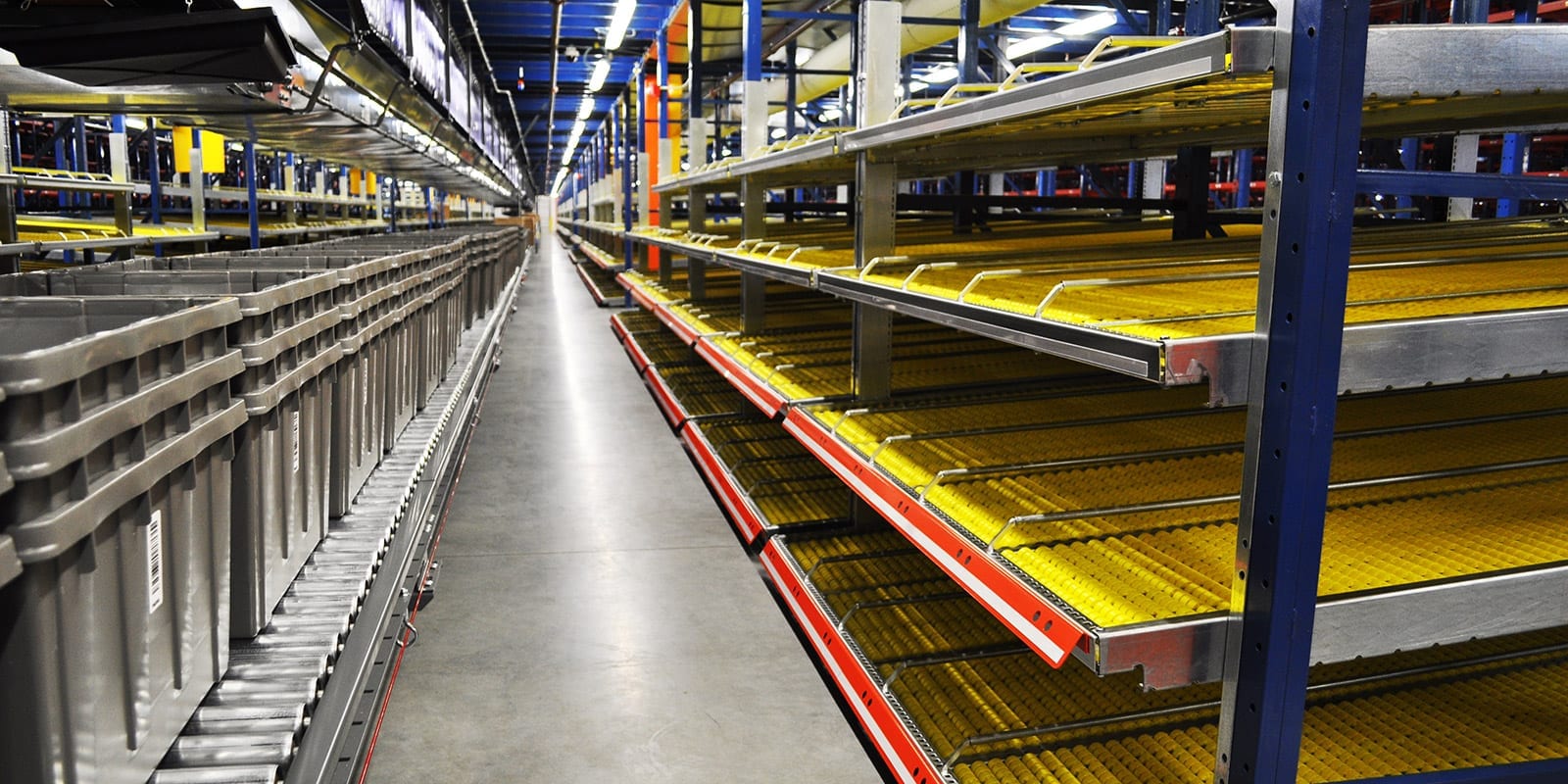 Warehouse Evolution
